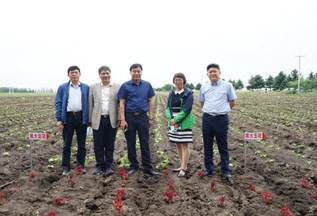 说明: DSC08160 说明: DSC08160